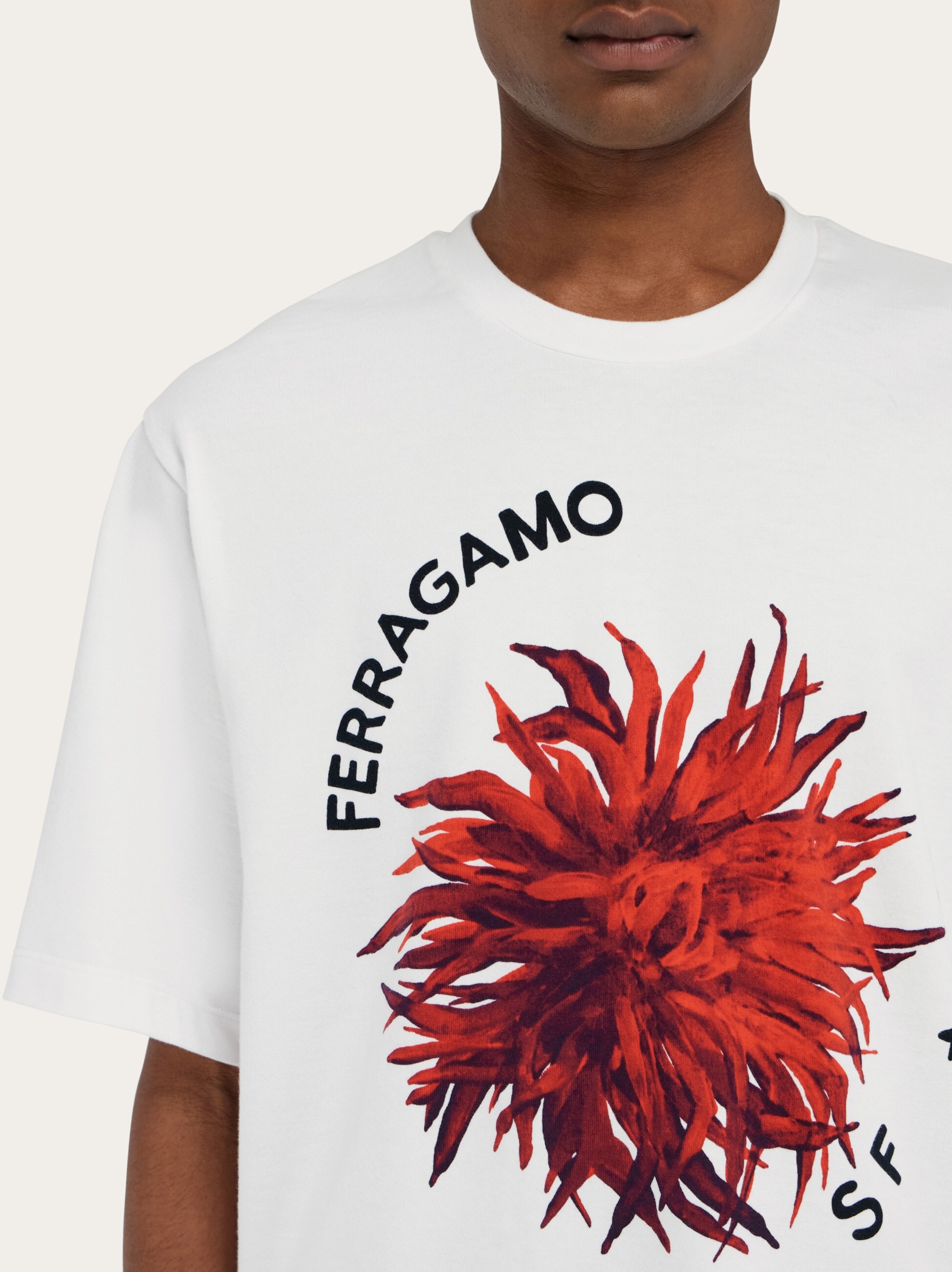 フェラガモ上下綿スーツおまけTシャツ値下げ 楽天市場】【ｽｰﾊﾟｰｻﾏｰｾｰﾙ第2弾☆全品P5倍＆最大15000円ｽﾍﾟｼｬﾙ